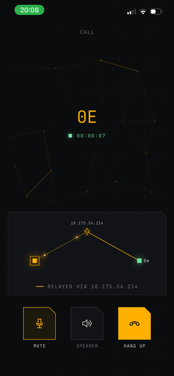 Vigil during an end-to-end encrypted voice call