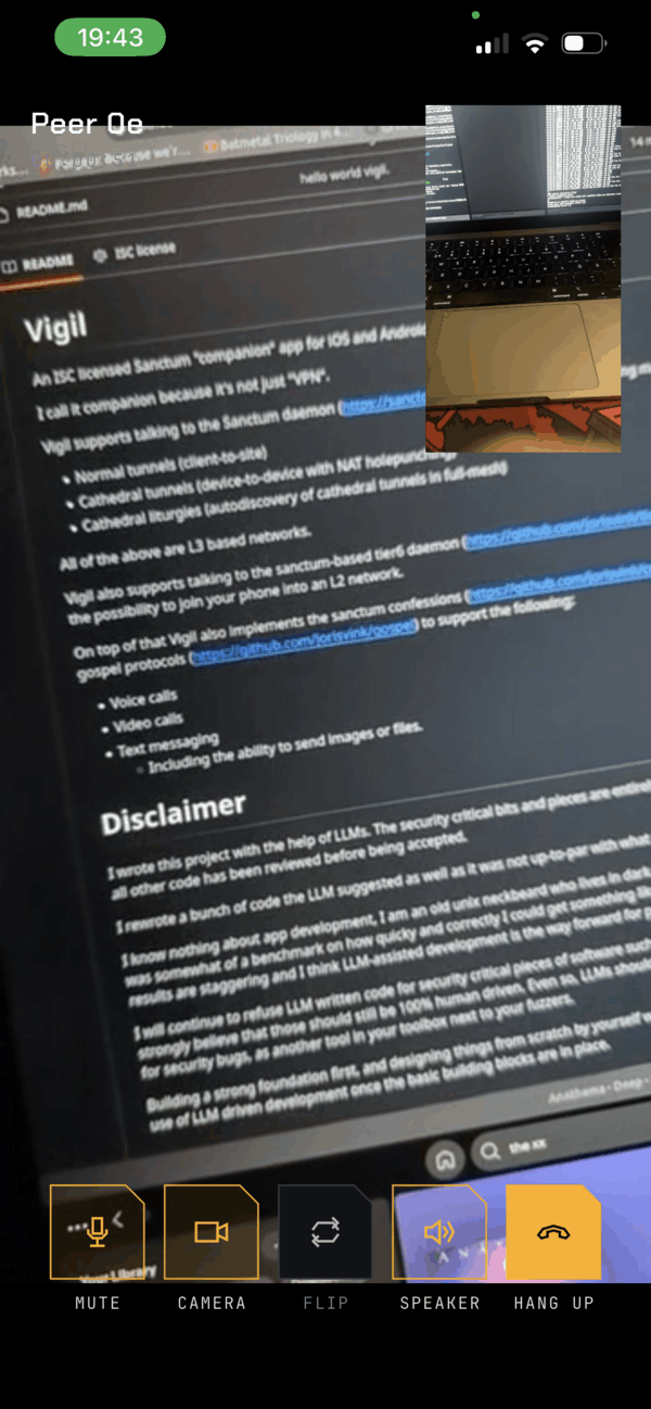 Vigil during an end-to-end encrypted video call